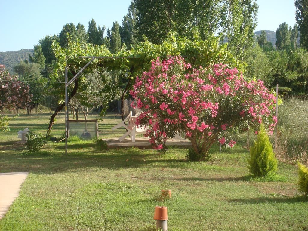 Villa Angela Sykia Chalkidikis Luaran gambar