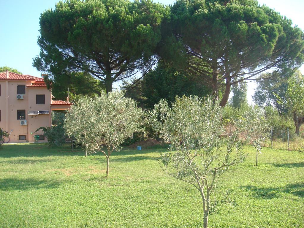 Villa Angela Sykia Chalkidikis Luaran gambar