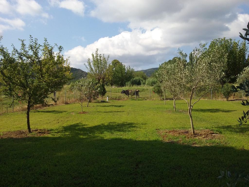 Villa Angela Sykia Chalkidikis Luaran gambar